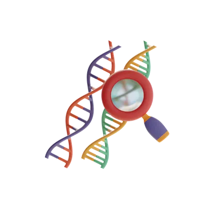 Dna And Magnifying Glass  3D Icon