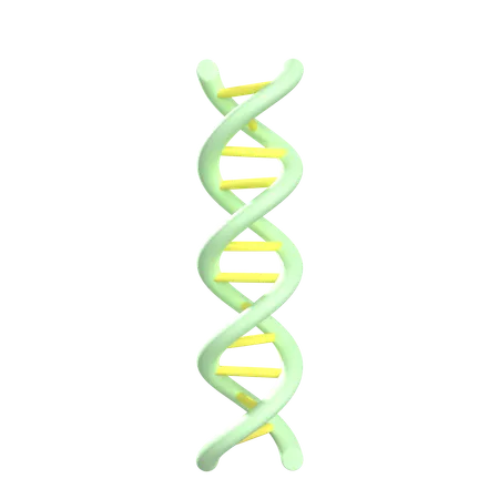 DNA-Doppelhelix  3D Icon