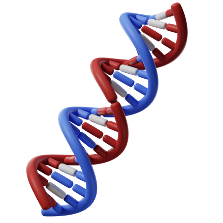 Dna Helix  3D Icon