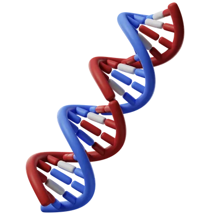 Dna Helix  3D Icon