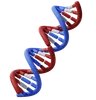 Dna Helix