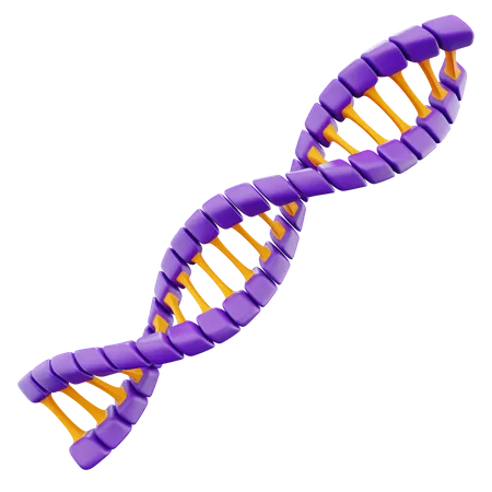 Dna Helix  3D Icon