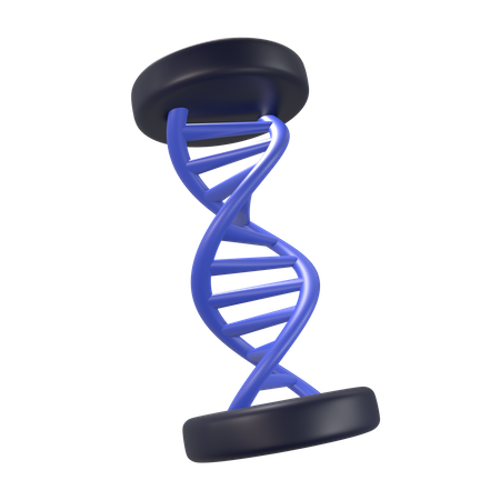 Dna Helix  3D Icon