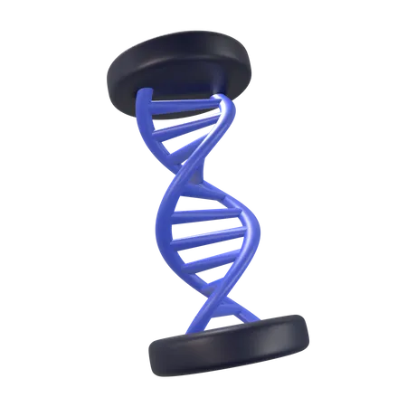 DNA Helix Education 3 D Icon Render 3D Icon