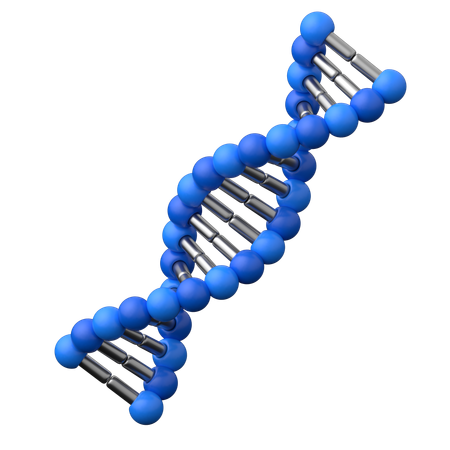 DNA Helix Medical  3D Icon