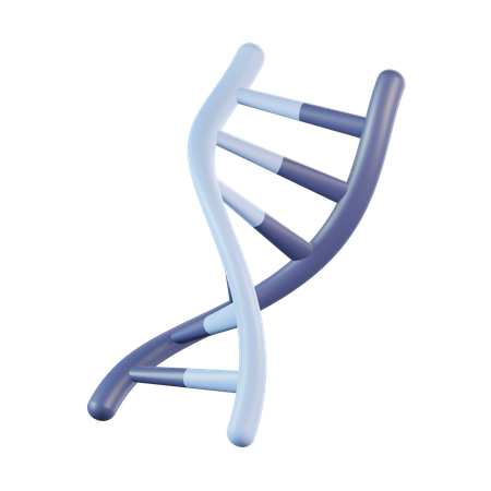 DNA humano  3D Icon