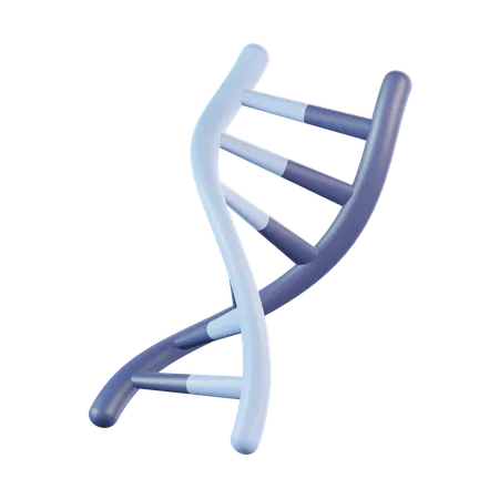 DNA humano  3D Icon