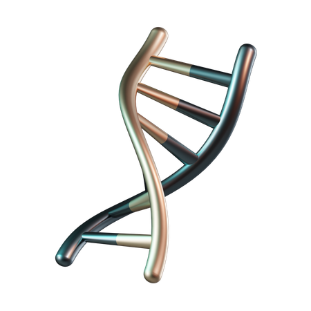 DNA humano  3D Icon