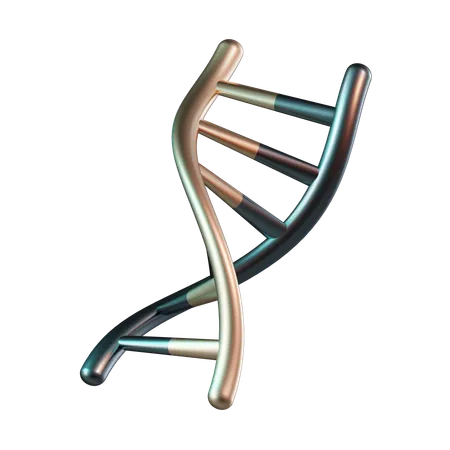 DNA humano  3D Icon