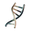 DNA humano