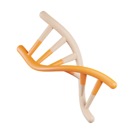 DNA humano  3D Icon