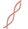 Dna Molecule