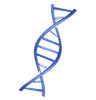 Dna Strand