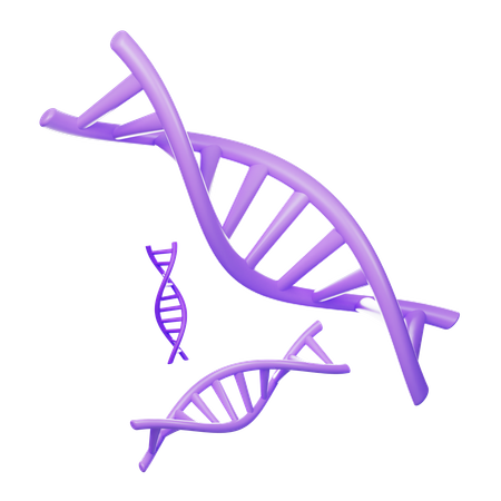 Dna Structure  3D Icon