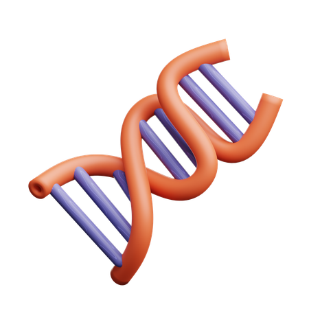 Dna Structure  3D Icon