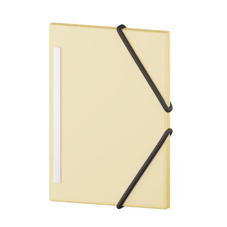 Document Folder  3D Icon