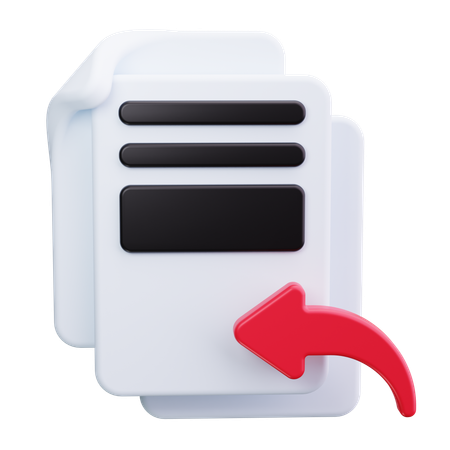Documento de importação  3D Icon