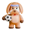 Dog Soccer Activity