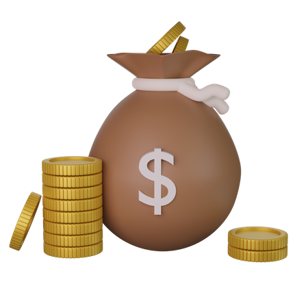 Dollar Bag  3D Icon
