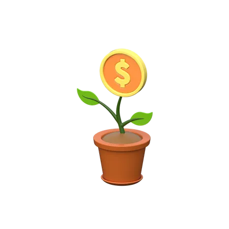 Dollar plant  3D Icon