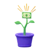 Dollar Plant