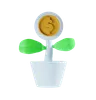 Dollar Plant