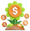 Dollar Plant