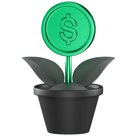 Dollar Plant  3D Icon