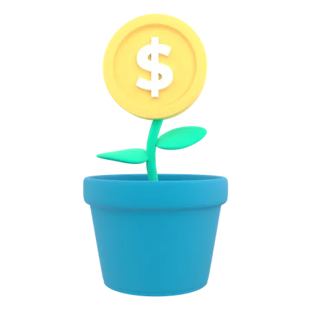 3 D Money Tree Plant With Coin Dollar Business Profit Investment Finance Education Earning Income Business Development Concept On Transparent Background 3 D Rendering 3D Icon