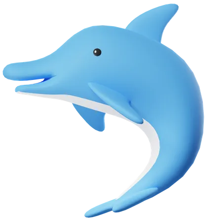 Dolphin  3D Icon