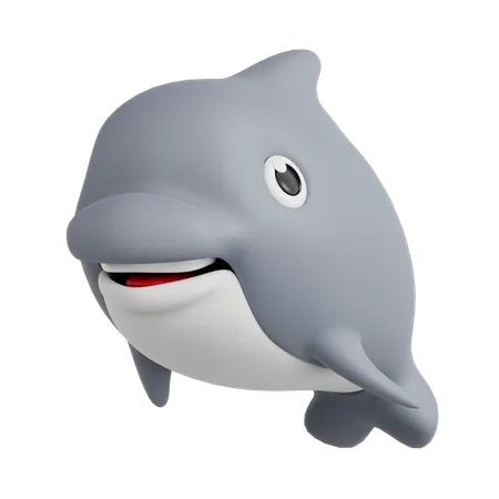 Dolphin  3D Icon