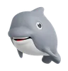 Dolphin