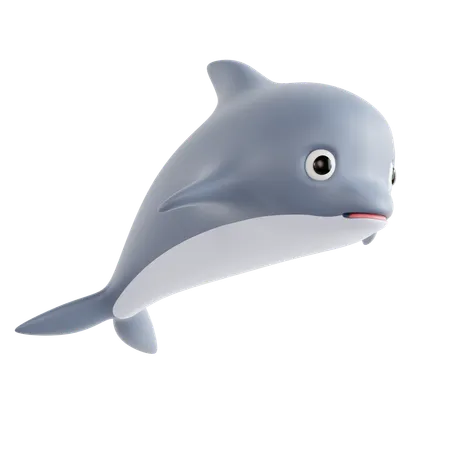 Dolphin  3D Icon