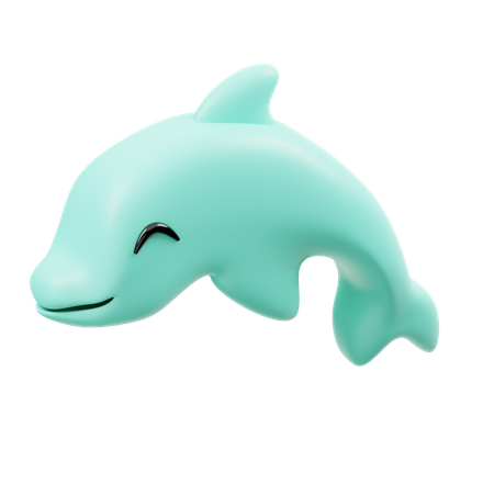 Dolphin  3D Icon