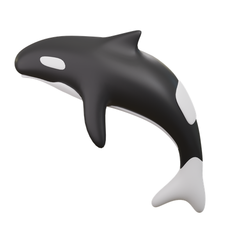 Dolphins  3D Icon
