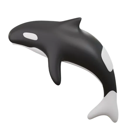 Dolphins  3D Icon