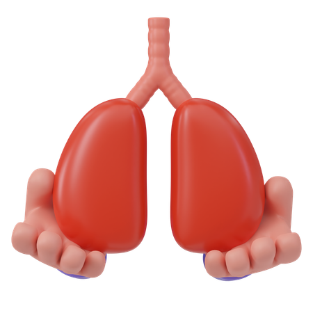 Donación de pulmones  3D Icon