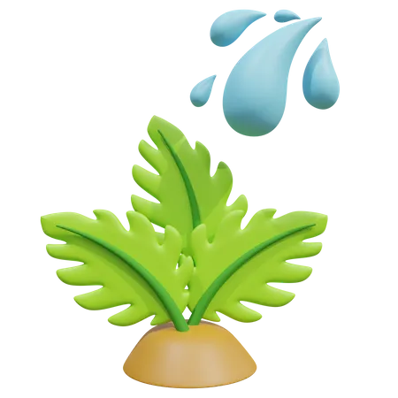 Donner de l'eau à la plante  3D Icon