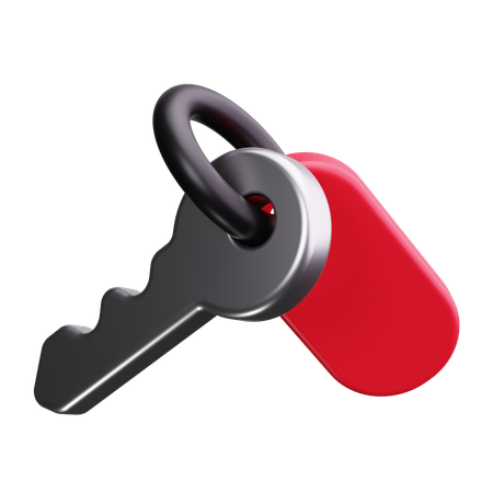 Door Key  3D Icon