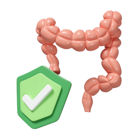 Dickdarmschild  3D Icon
