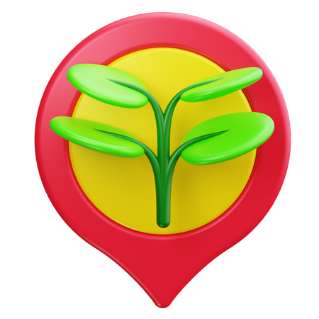 D'origine locale  3D Icon