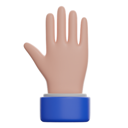 Parte de atrás de la mano  3D Icon