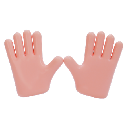 Dos que representan el gesto de la mano  3D Icon