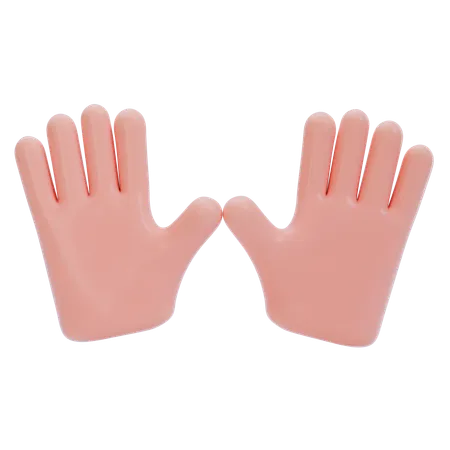 Dos que representan el gesto de la mano  3D Icon