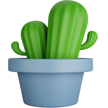 Dos plantas de cactus  3D Icon