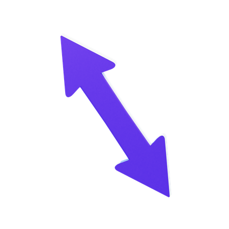 Double Arrow  3D Icon