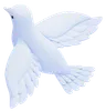Dove