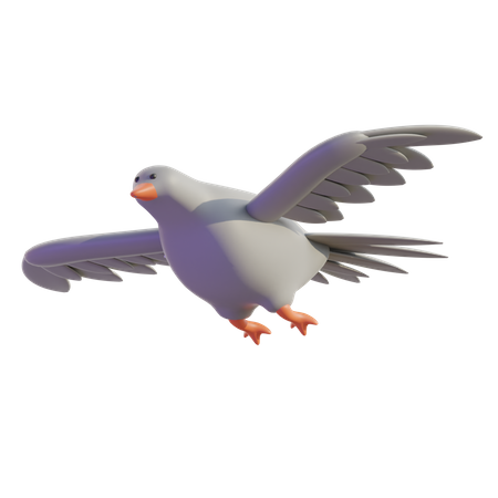 Dove  3D Icon