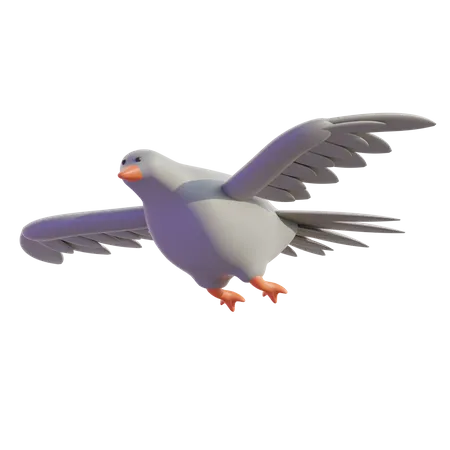 Dove  3D Icon