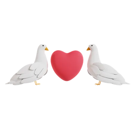 Doves With Heart  3D Icon